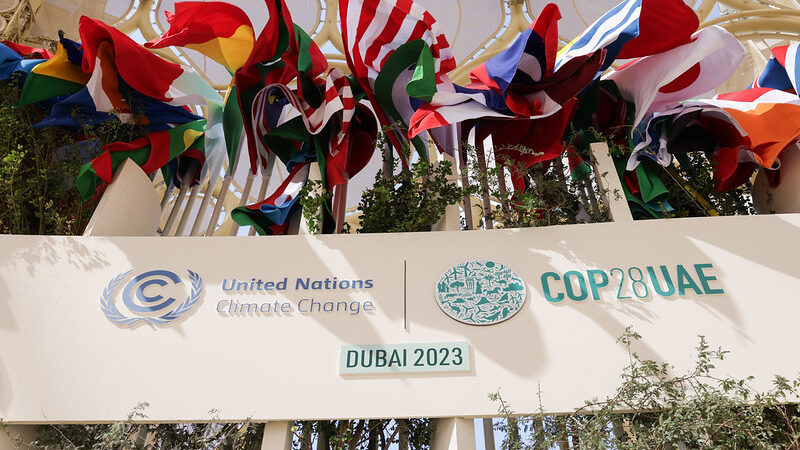COP28: Verso un Futuro Agricolo Sostenibile con ToSeed & Partners